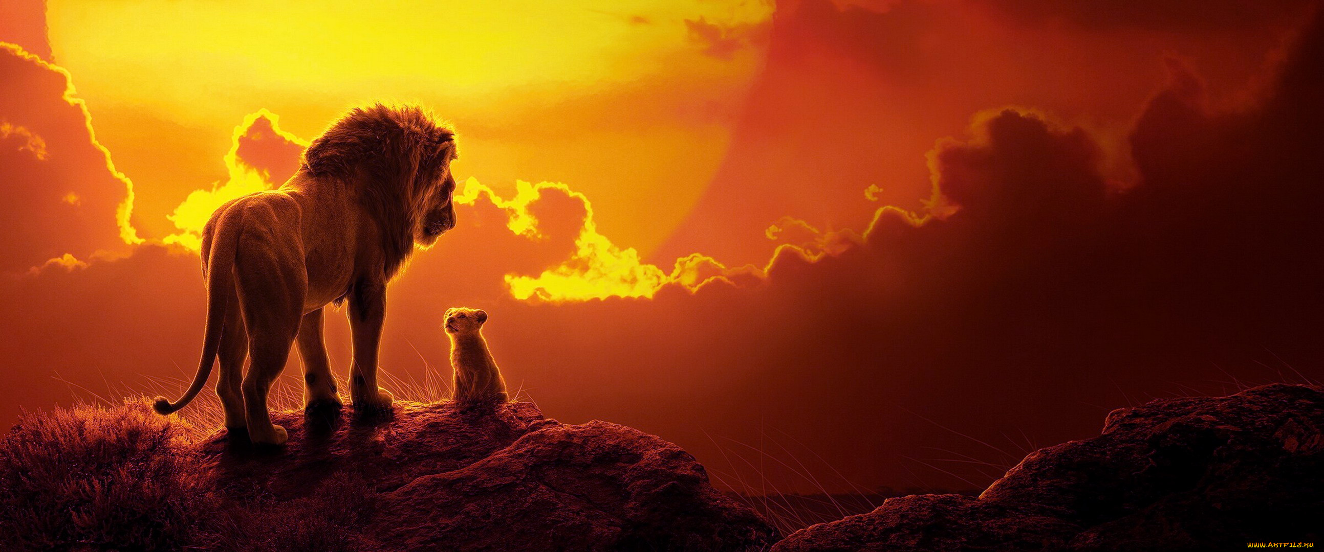  , the lion king , 2019, , , , 